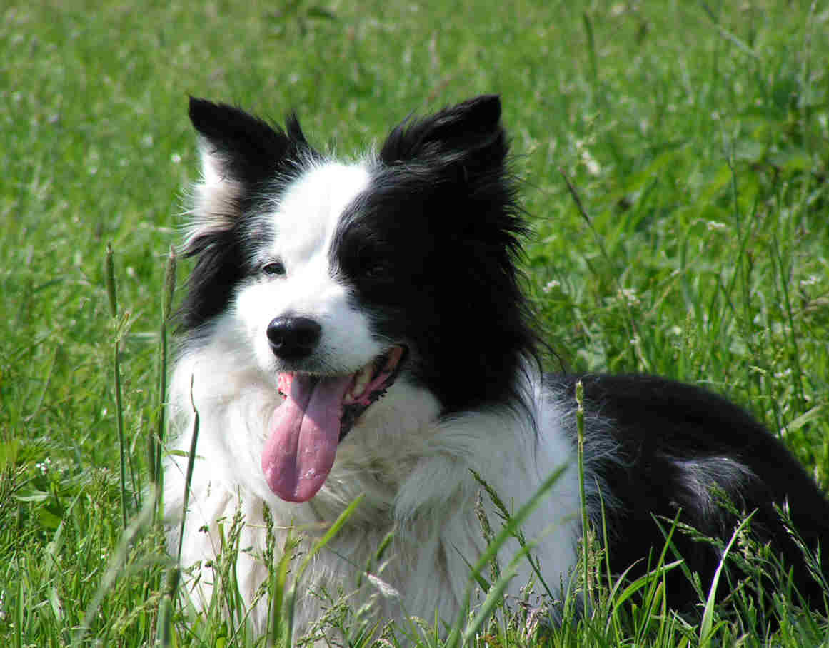 2006_06_1.jpg (73039 Byte)