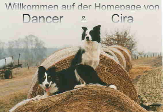 Willkommen auf der Homepage von Cira und Dancer