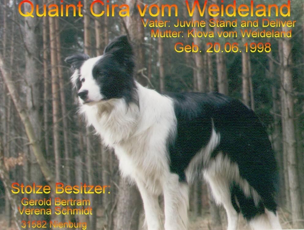 cirapi14neu.jpg (123327 Byte)