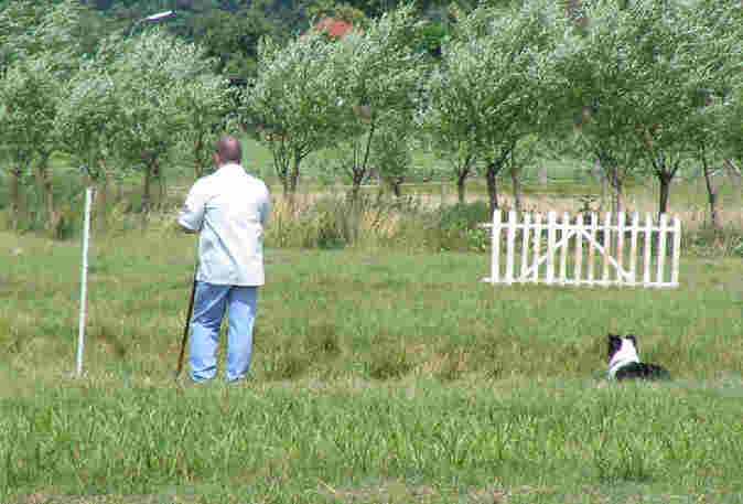 sutthausen4_small.jpg (22915 Byte)